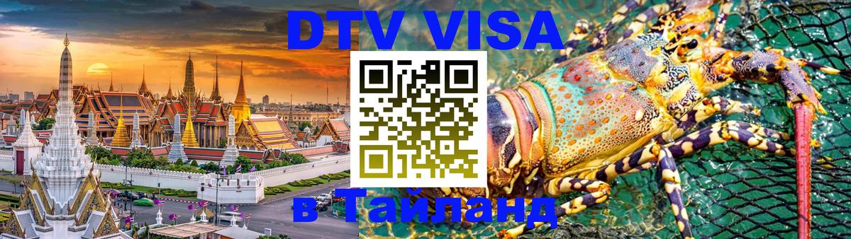 Сколько стоит DTV виза — актуальные цены, оформление даже без документов - Химки 